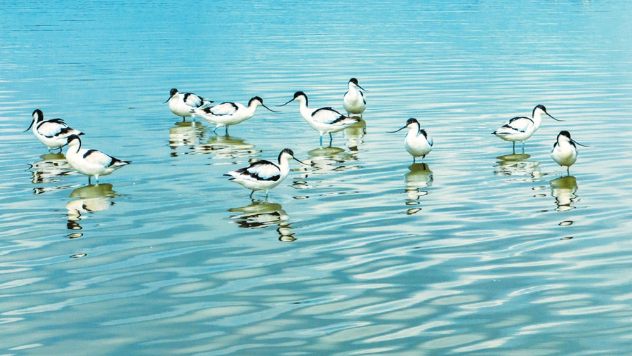 12��24�գ����϶�կ�۹��Ҽ���Ȼ����������ˮ��ʪ�ر���С������Ϣ�˶�ֻ�����֡��������� ʯ�л� ��