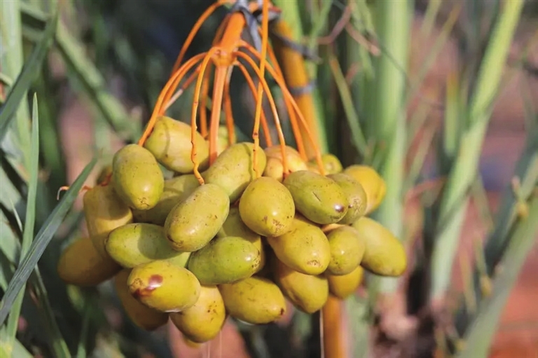 Ҭ���ʹ���