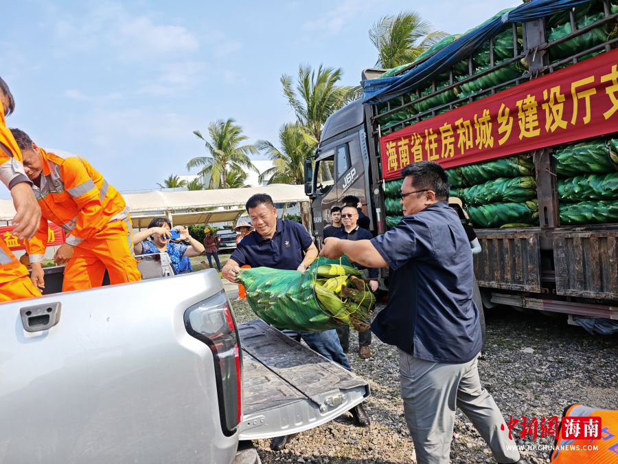 ͼΪ�ɹ����ס�����ʡס���ͳ��罨���� ��ͼ