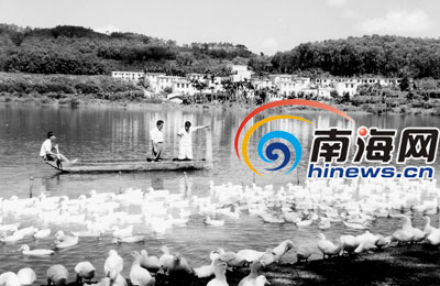 养殖鱼塘设计图_鱼塘养殖收入(3)