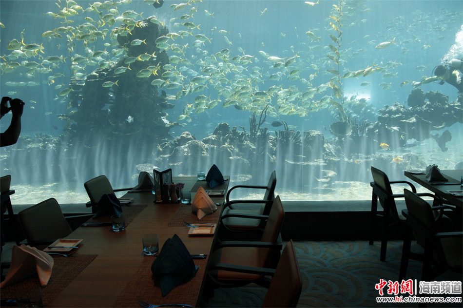 体验三亚酒店海洋主题餐厅