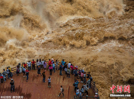 纽约中央公园成日光浴胜地 帅哥美女脱衣晒太