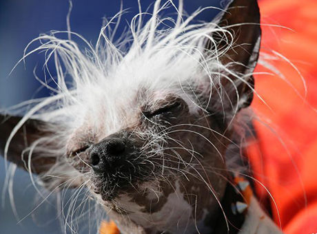 选什么专业薪水高?海南省统计局的数据告诉你