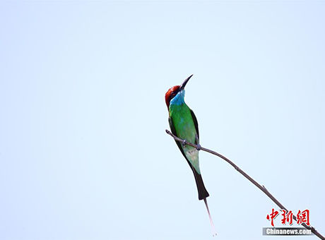 选什么专业薪水高?海南省统计局的数据告诉你