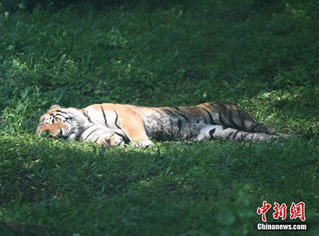 选什么专业薪水高?海南省统计局的数据告诉你