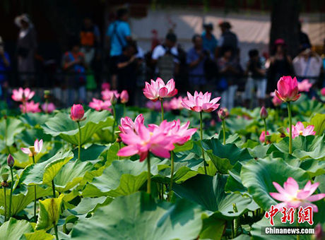 选什么专业薪水高?海南省统计局的数据告诉你