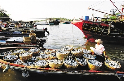 独具特色的南海丝路海南美食主题旅游线路(图