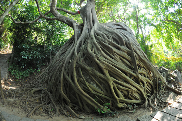 三亚大小洞天景区5月19日当天免费送100张门