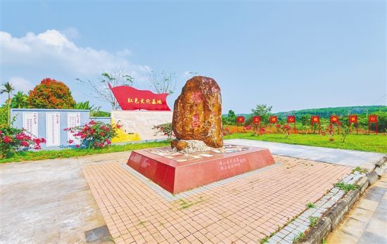 海口市琼山区塔昌村一景。本报记者 封烁 摄