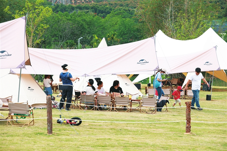近日，游客在大茅远洋生态村露营、野餐、游玩。