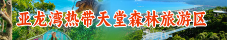 热带天堂