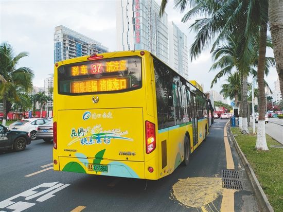 海口市1400辆公交车将在全市范围内大力宣传清廉文化。图片来源:海口市委宣传部 张磊 摄