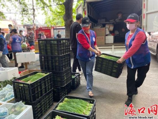 新鲜的韭菜送到秀英区书场村。伍凤妹 摄