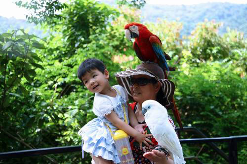 小朋友在呀诺达参观热带雨林植物