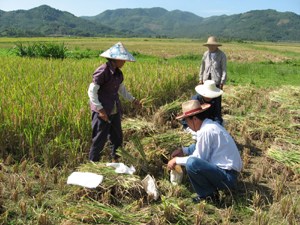海南存在大面积富硒土壤
