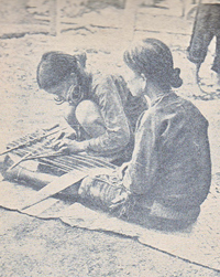 ֯踾Ů