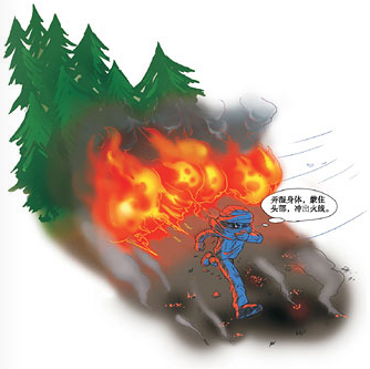 遭遇森林火灾的自救技巧
