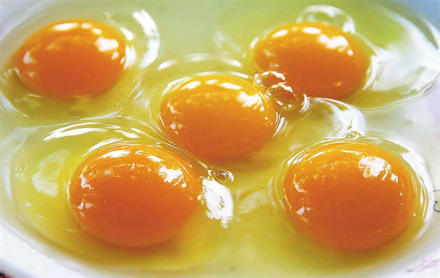 绿壳鸡蛋的营养价值