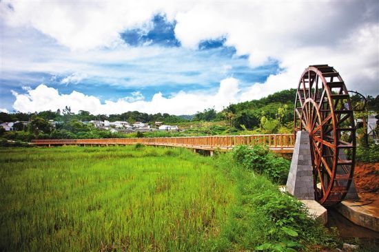 琼中什寒村民宿靠山吃山