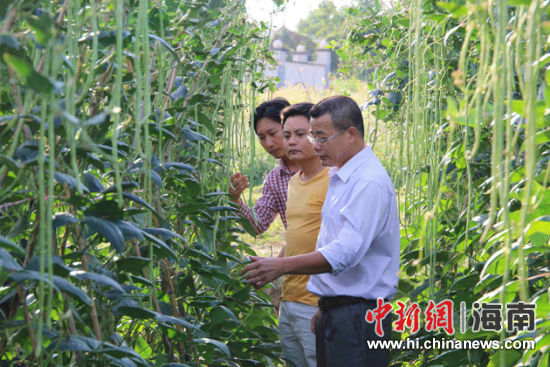 海南省生态环境保护厅精准扶贫效果初显