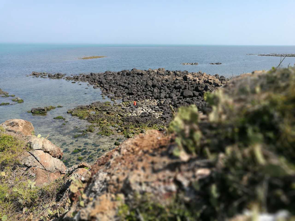 2017�����й������⻪��ý�庣�����߽�����