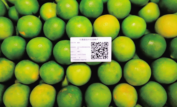 琼中绿橙包装箱张贴质量追溯二维码 确保品牌质量