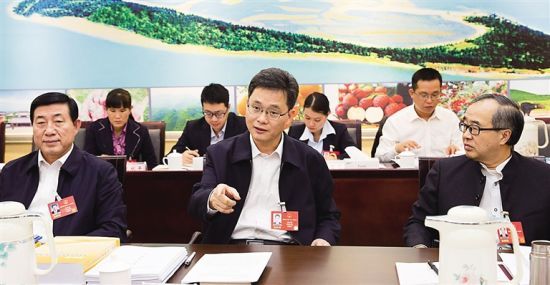 蓝佛安代表参加澄迈代表团审议.海南日报记者 宋国强 摄