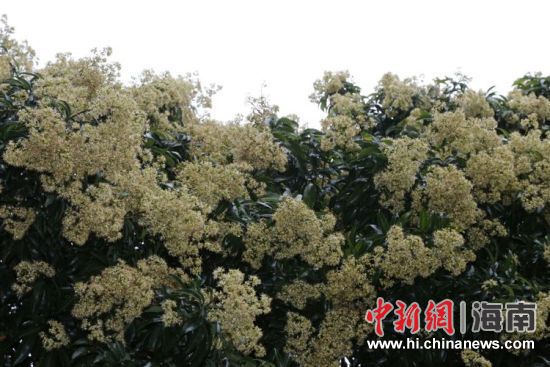 ���޲� ��