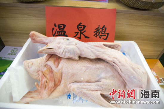 白嫩肥美的温泉鹅。凌楠摄