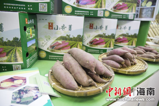 海南“冬交会”儋州馆现场