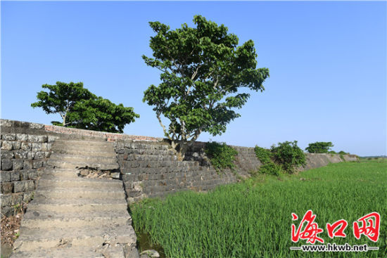 �к���ǧ�ꡰ�����ߡ�֮�Ƶ��¾ɹ�ʪ�ء�����ʯ�л� ��