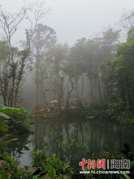 百花岭雨林秘境。