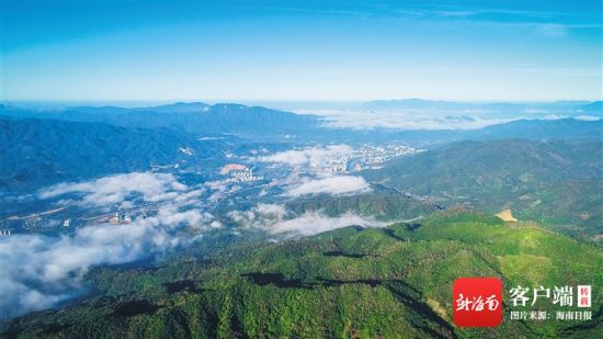 老榕树智能建站软件破解版_快速建站软件现状及有哪些快速建站软件_老榕树建站软件