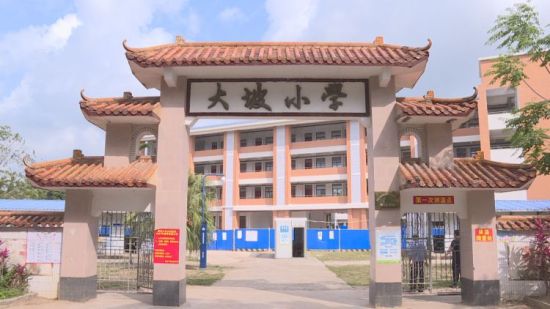 琼海嘉积大坡乡村振兴工作队:书写乡村振兴满意答卷