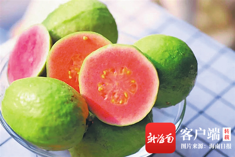 那些让人熟悉又陌生的海南水果 它们小众又出众
