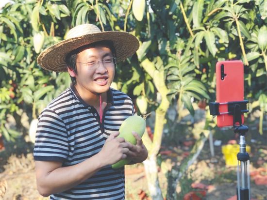 数字农业时代看海南"新农人"如何用手机玩转果园