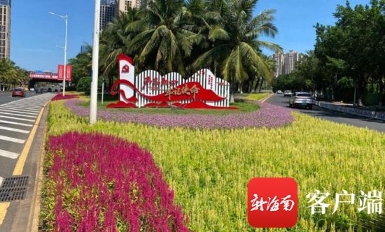 庆祝建党100周年花卉,建党100周年花卉布置 海口市公共绿化管理所结合"建党100周年"宣传主题,精选时令花卉,搭配