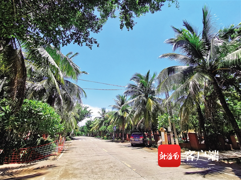 昌江石碌镇山竹沟村:小山村成"全国文明村镇"