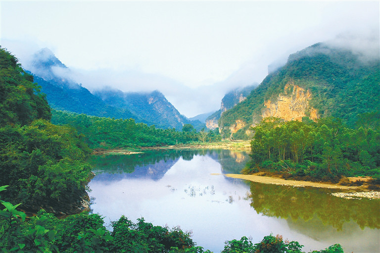 昌江"黎花里"之春