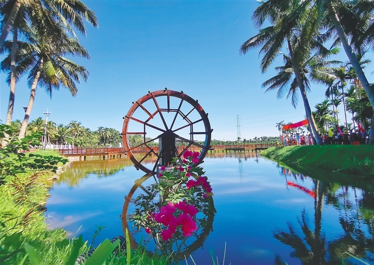 文昌市会文镇凤会村:"水美乡村"景美人更美