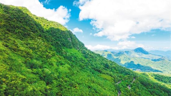走进海南鹦哥岭,探秘巡山护林生活