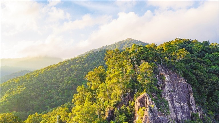 俯瞰尖峰岭热带雨林