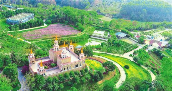 屯昌梦幻香山共享农庄走出特色发展之路