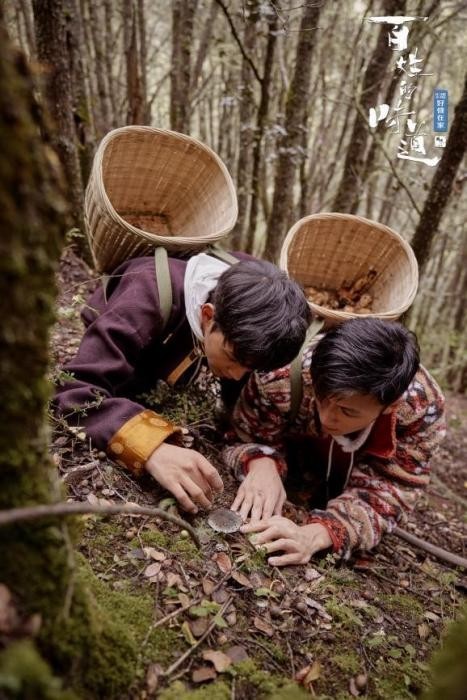 谢霆锋赴理塘寻找美食 跟随丁真上山挖松茸