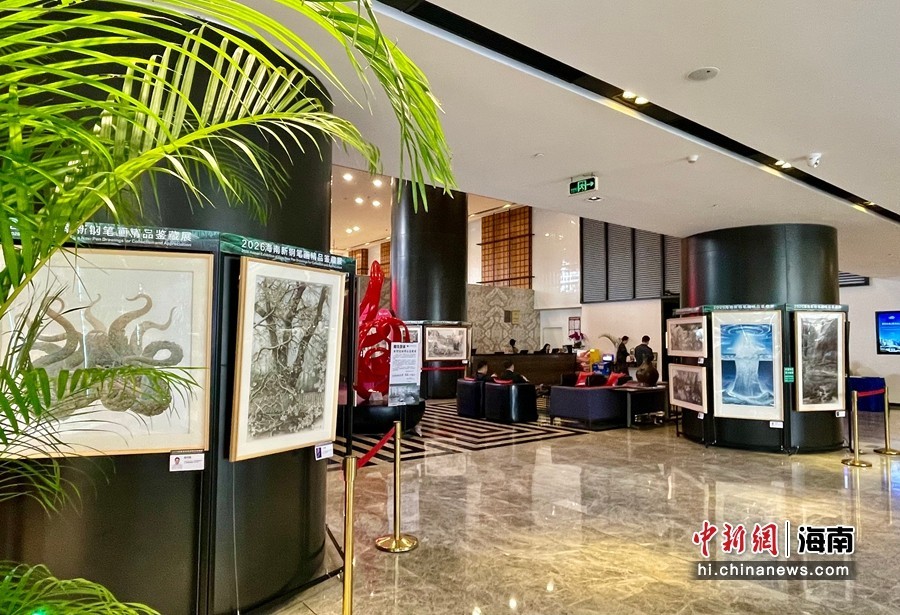 �Ƶ���컭չ���ӹ������ȵ�����չ��