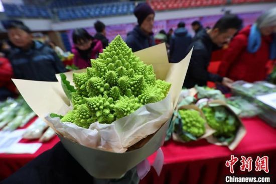 宝塔菜花这么一包装,成了"鲜花". 泱波 摄