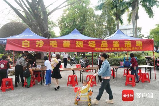 活动品鉴现场。（由白沙融媒体中心供图）