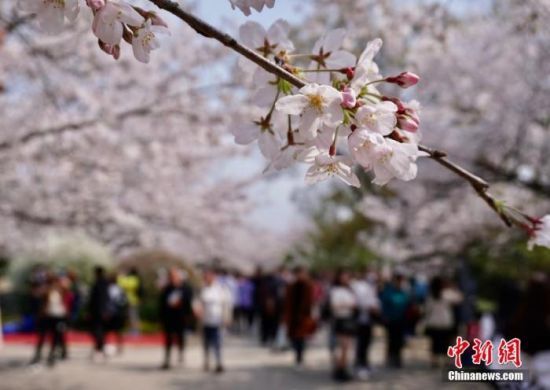 资料图：游客。 孙权 摄