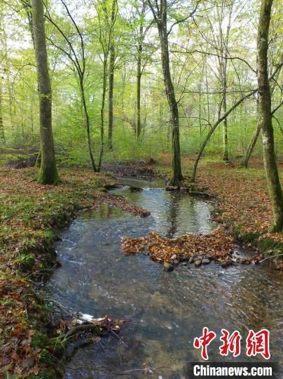Ŀպ(Clauge river)(ͼƬBertrand Launay) ʩָȻ ͼ