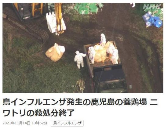 ʱ13գձ¹سˮһ飬Լ3.8ֻ󱻽ɱͼƬԴձЭ(NHK)ͼ